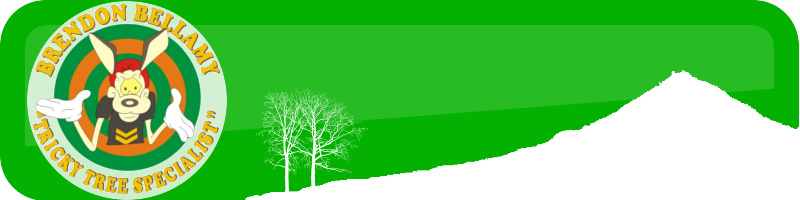 Brendon Bellamy, your local arborist